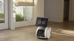 Robos domesticos